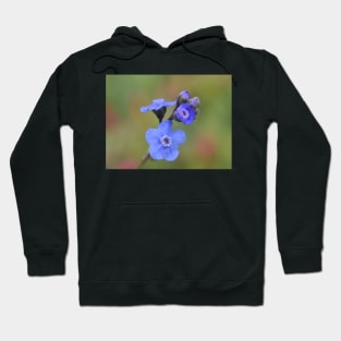 Small wonders Hoodie